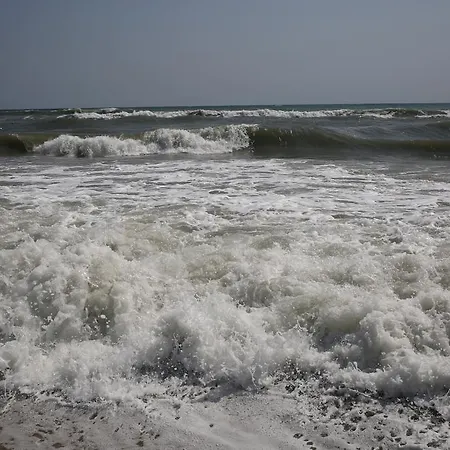 Byala Relax Apartament