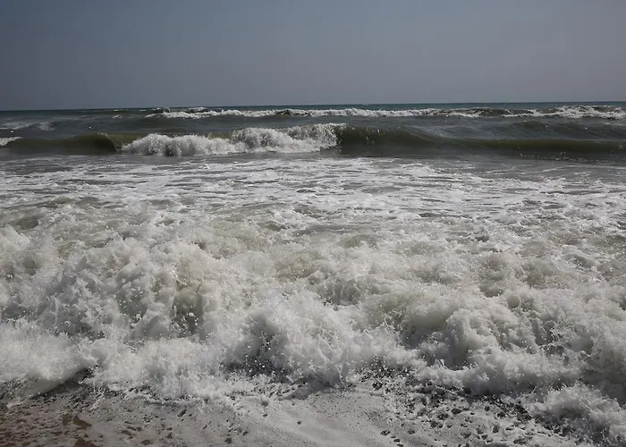 Byala Relax Apartament